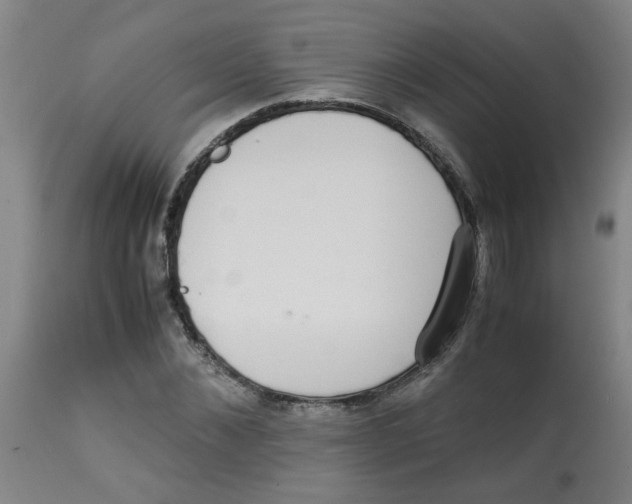 X0000113850876200910221417