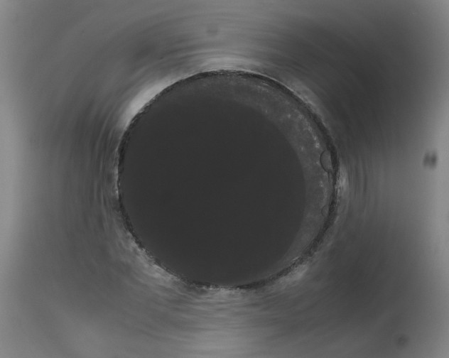 X0000113850877200910221417