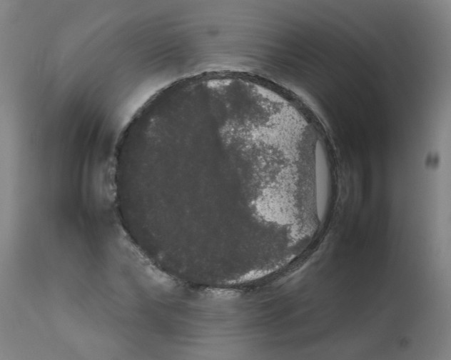 X0000113850878200910221417