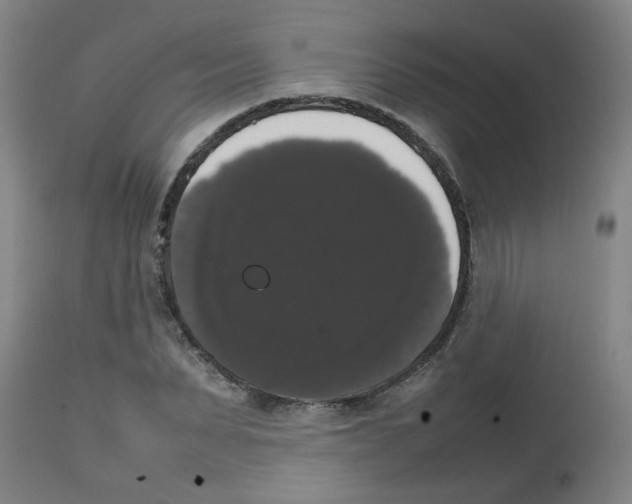 X0000113850879200910221417