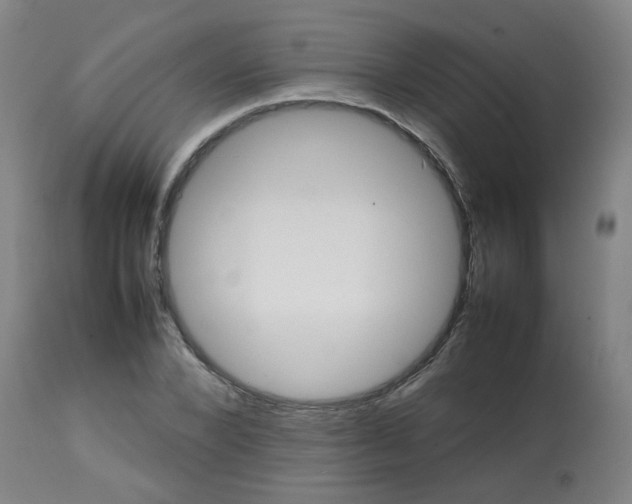 X0000113850880200910221417