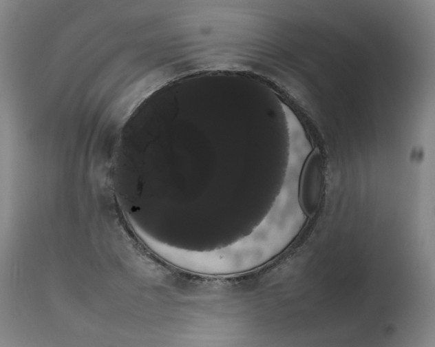 X0000113850881200910221416