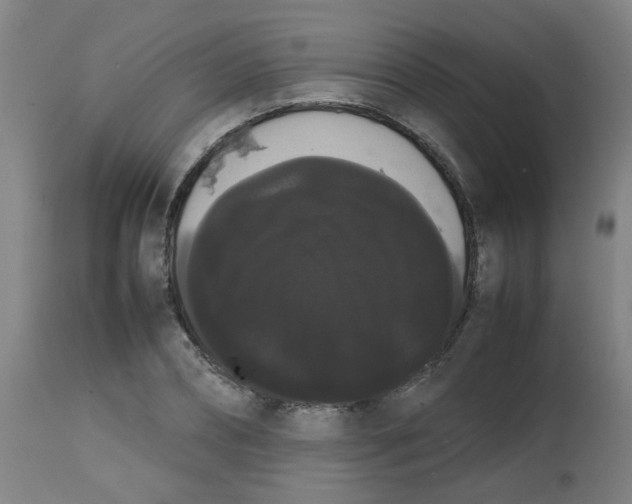 X0000113850882200910221416