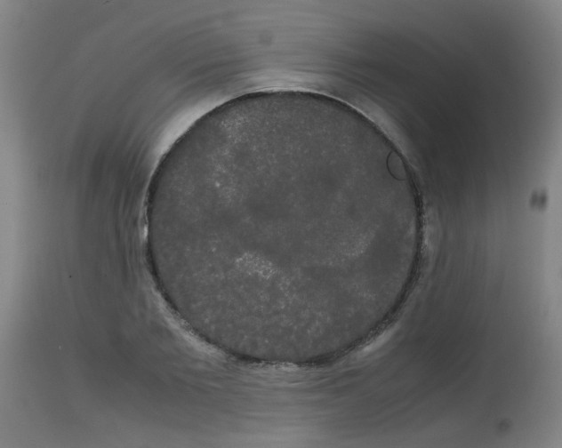 X0000113850885200910221416