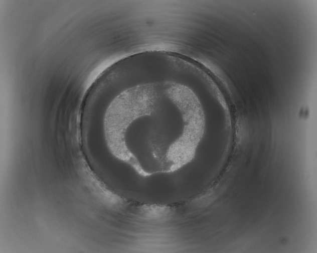 X0000113850886200910221416