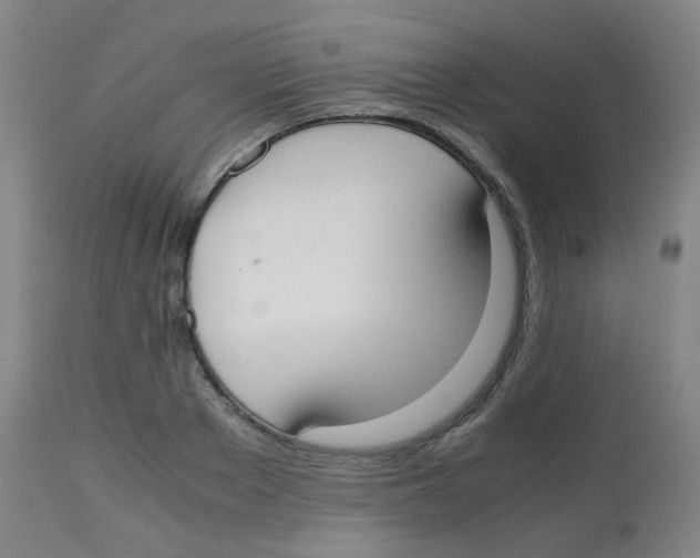 X0000113850889200910221416