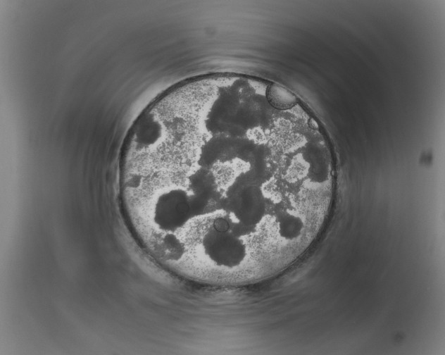 X0000113850891200910221416