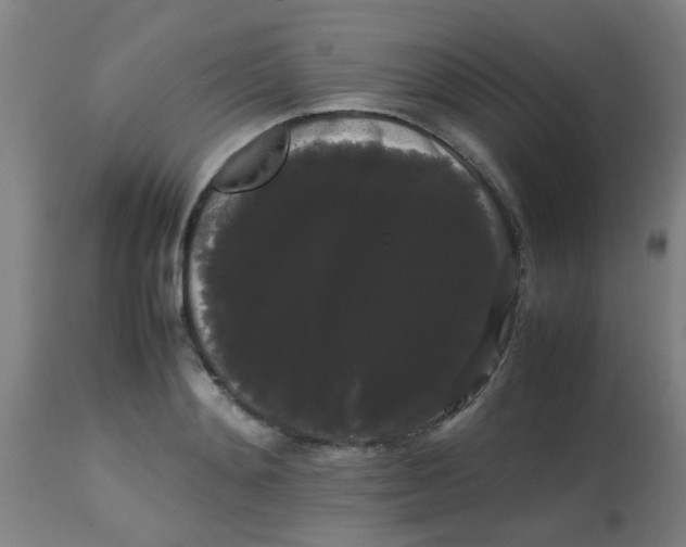 X0000113850892200910221416