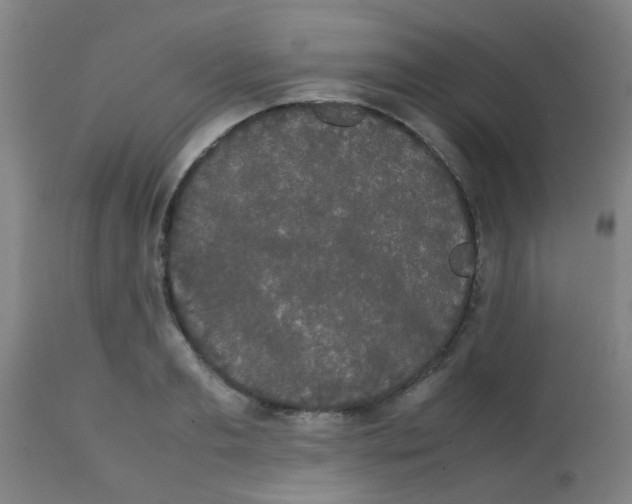 X0000113850893200910221416