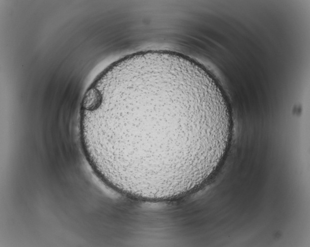 X0000113850894200910221416