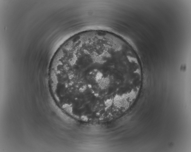 X0000113850895200910221416