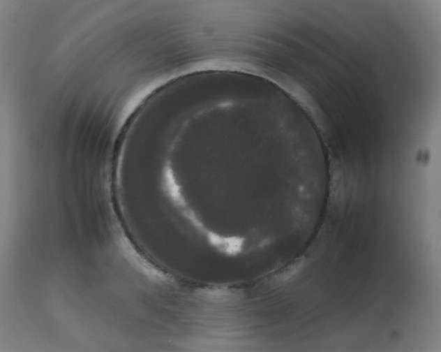 X0000113850896200910221416