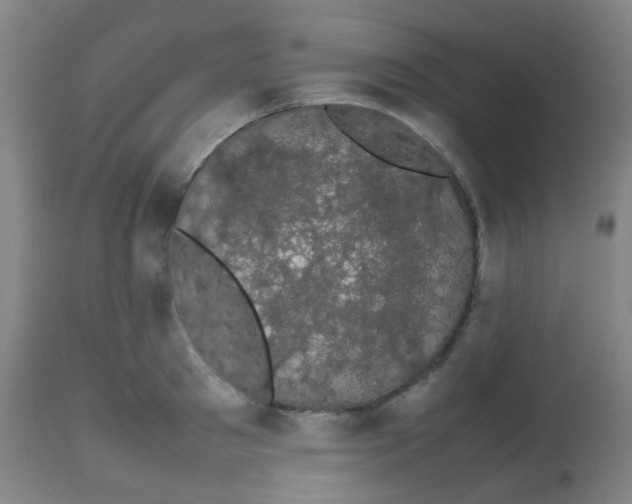 X0000113850897200910221416