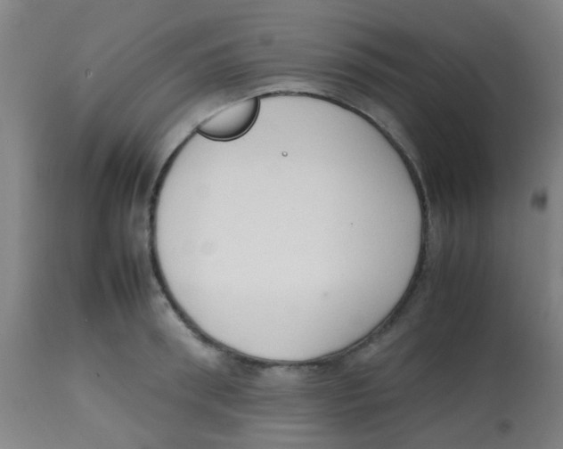 X0000113850898200910221416