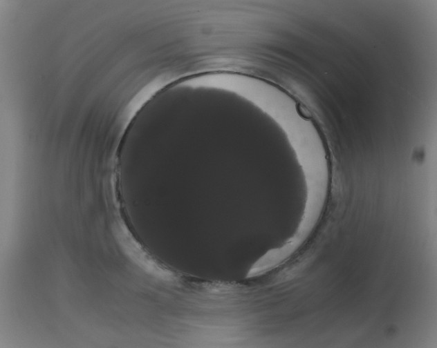 X0000113850899200910221416