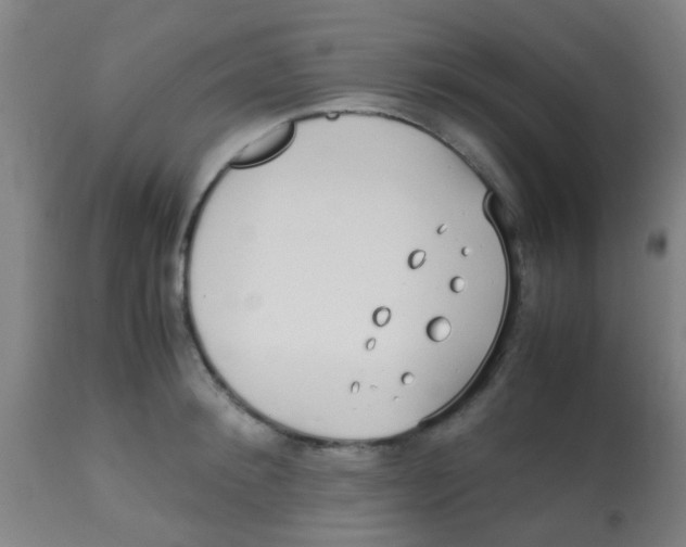 X0000113850900200910221416