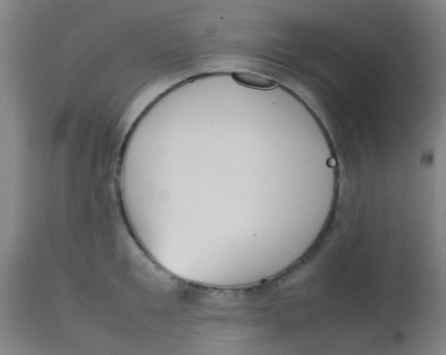 X0000113850901200910221416