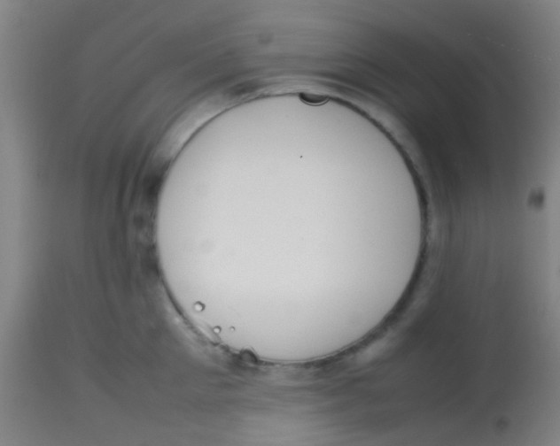 X0000113850905200910221416