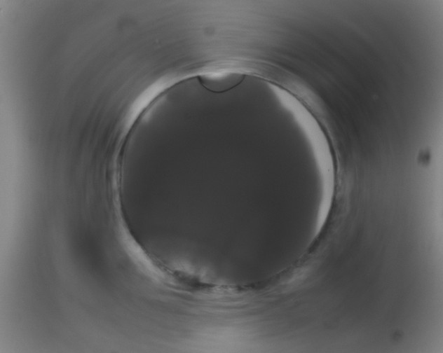 X0000113850907200910221416