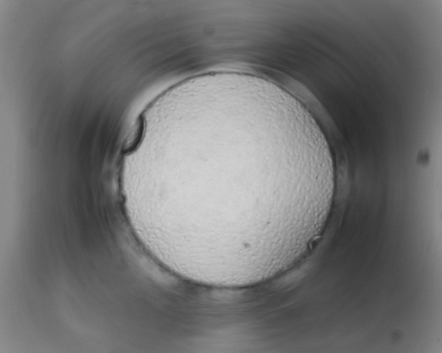 X0000113850908200910221416