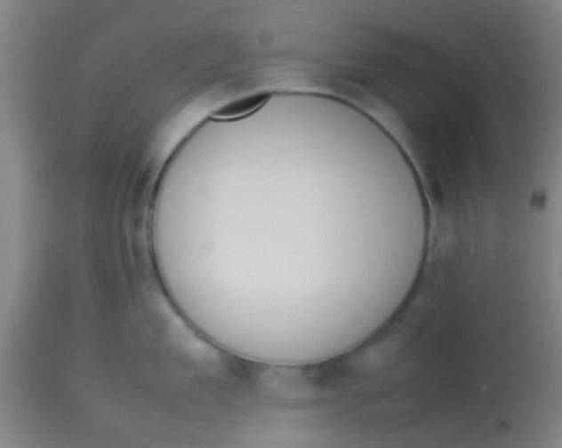 X0000113850909200910221416