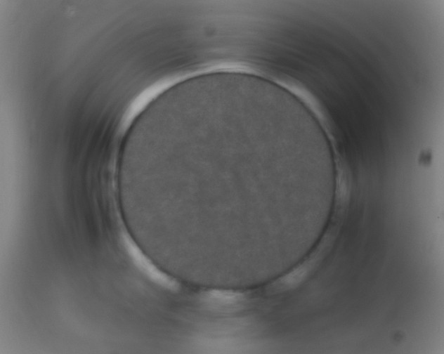 X0000113850910200910221416