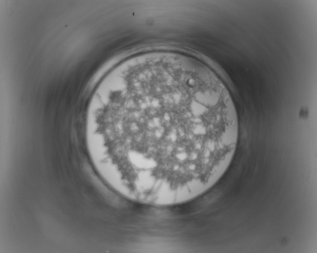 X0000113850911200910221416