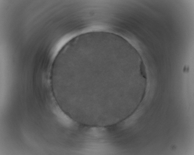 X0000113850912200910221416