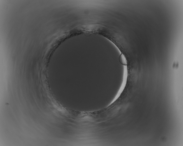 X0000113850913200910221415