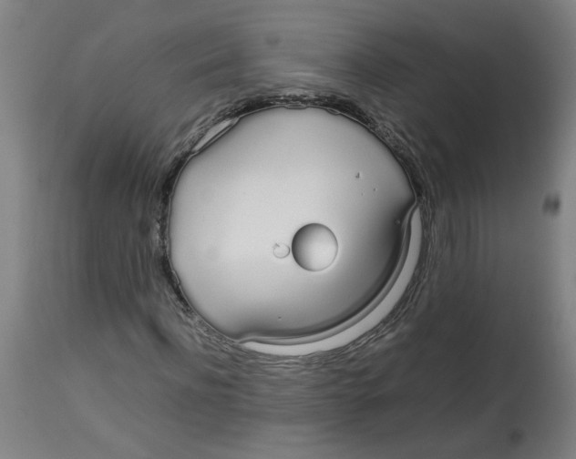 X0000113850916200910221415