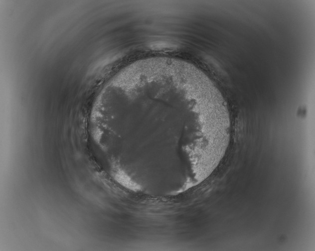 X0000113850917200910221415