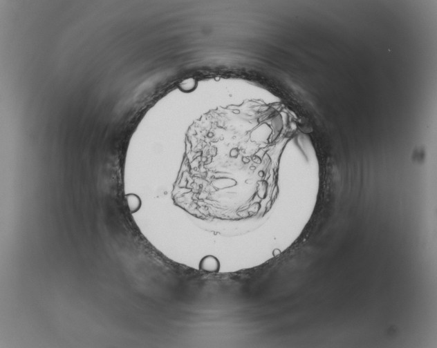 X0000113850918200910221415