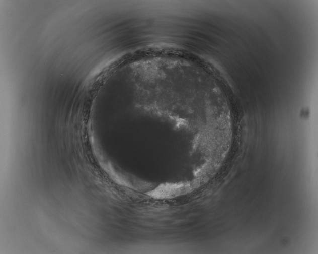 X0000113850919200910221415