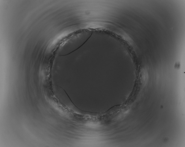 X0000113850920200910221416