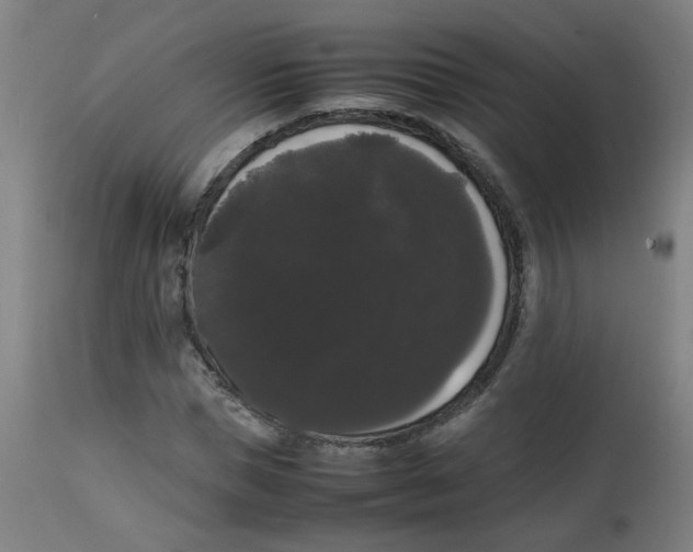 X0000113850921200910221416