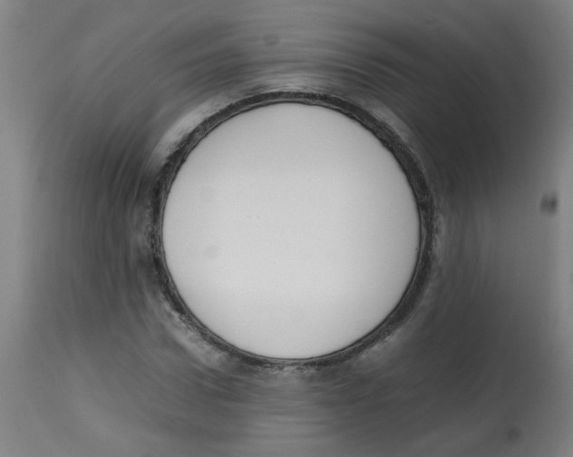 X0000113850922200910221416