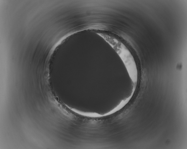 X0000113850923200910221416