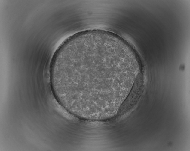 X0000113850924200910221416