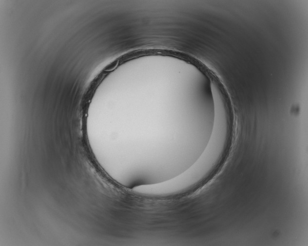 X0000113850925200910221416