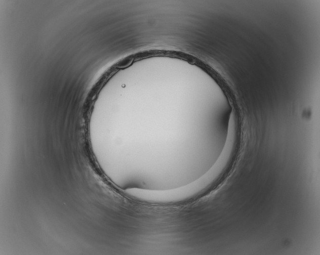 X0000113850926200910221416