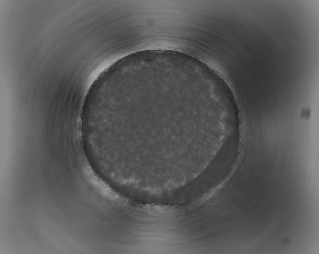 X0000113850928200910221416