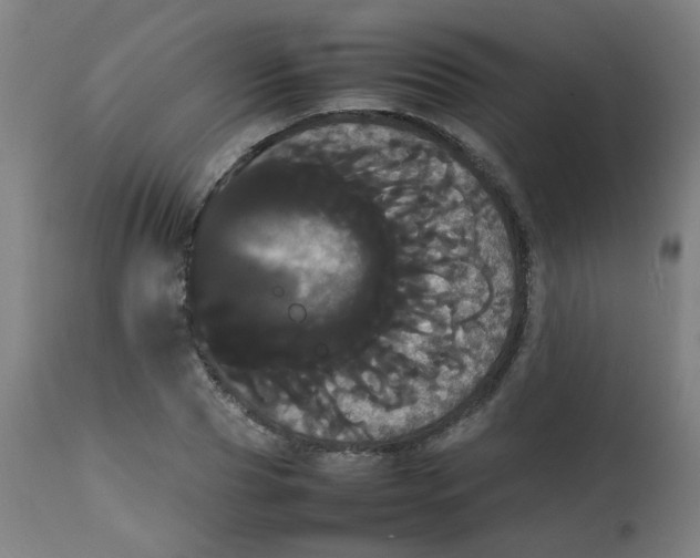 X0000113850929200910221416