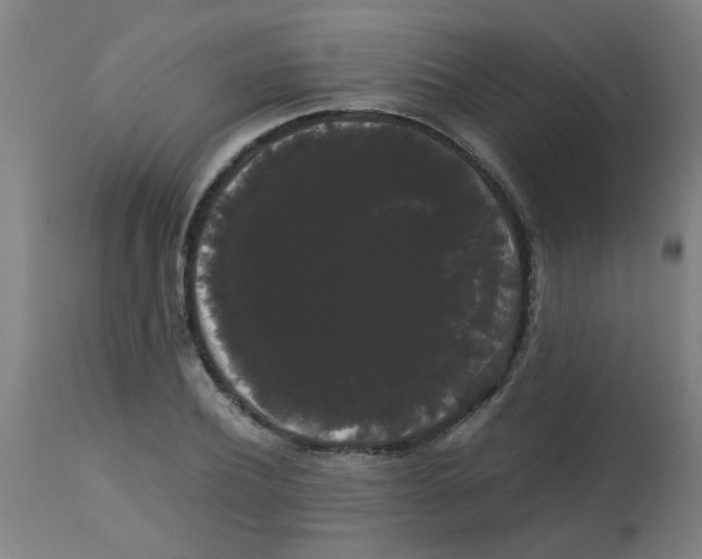 X0000113850932200910221416