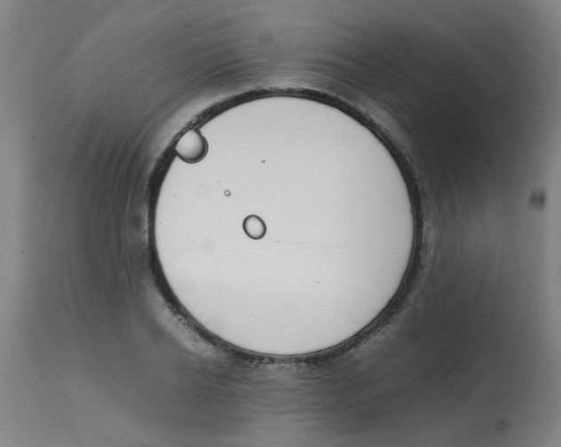 X0000113850934200910221416