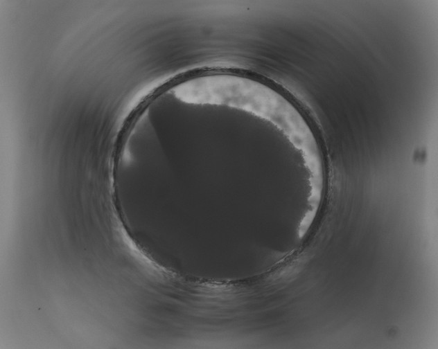 X0000113850935200910221416