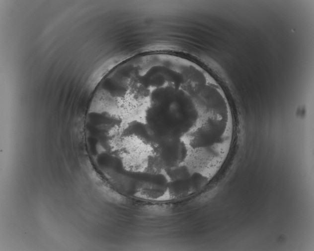 X0000113850937200910221416