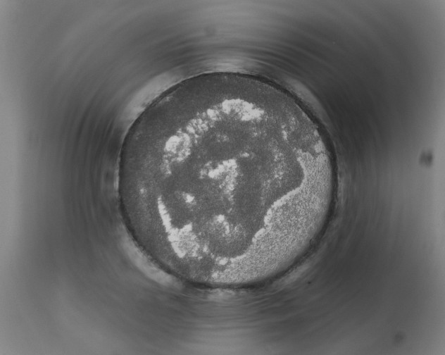 X0000113850938200910221416