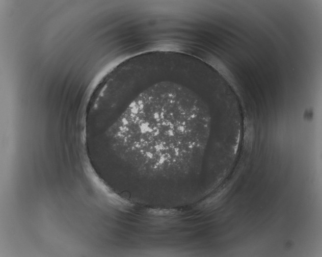 X0000113850939200910221416