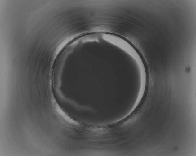 X0000113850941200910221416