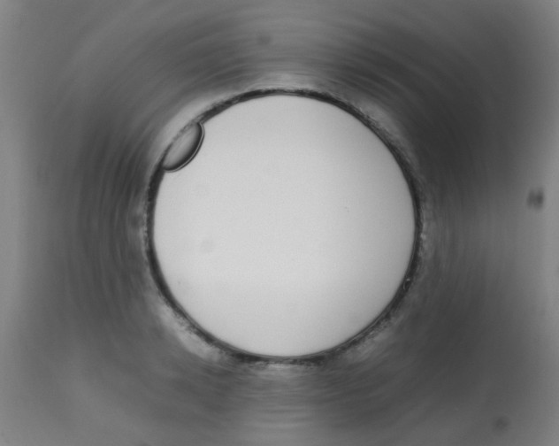 X0000113850942200910221416